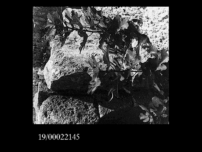 blocco di architrave (non determinabile)