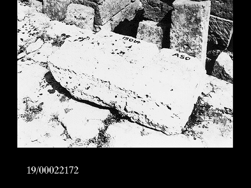 fusto di colonna (non determinabile)