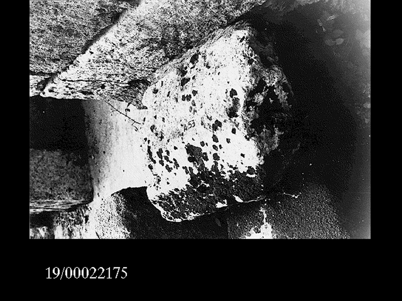 fusto di colonna (non determinabile)