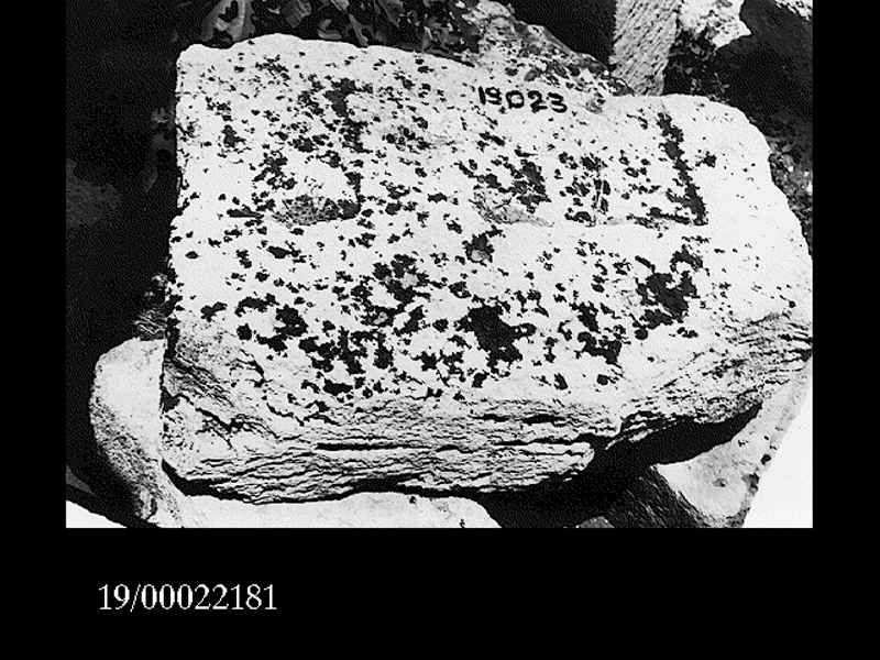 blocco di geison (non determinabile)