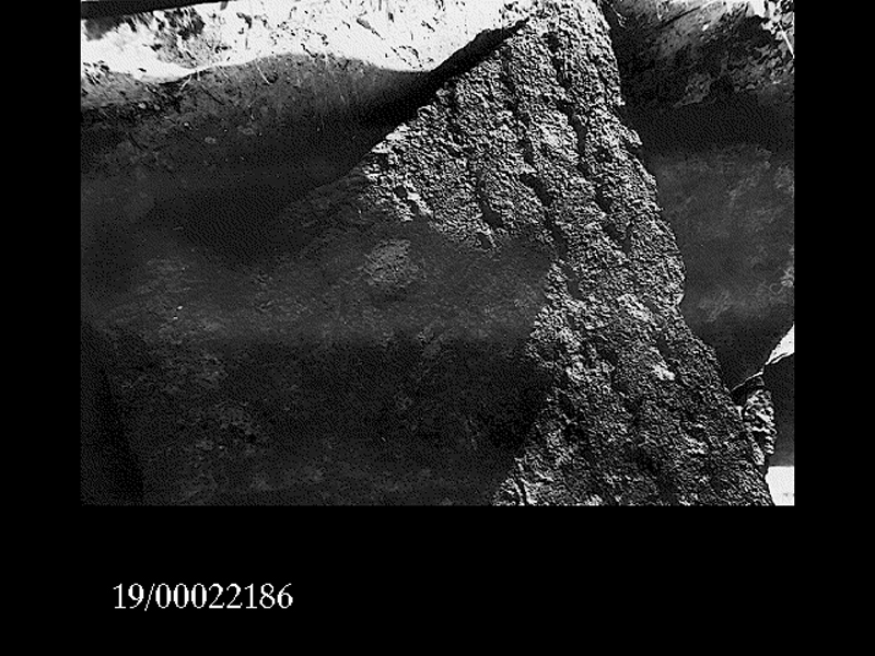 fusto di colonna (non determinabile)