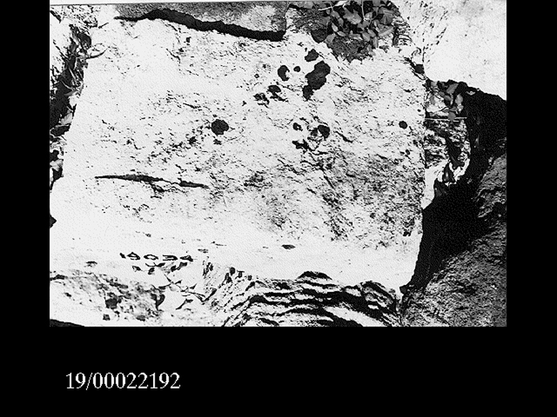 blocco di geison (non determinabile)