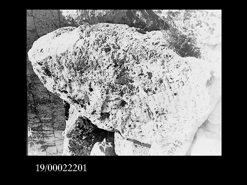 fusto di colonna (non determinabile)