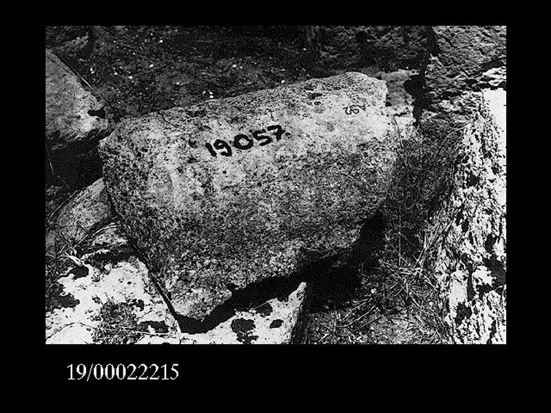 fusto di colonna (non determinabile)