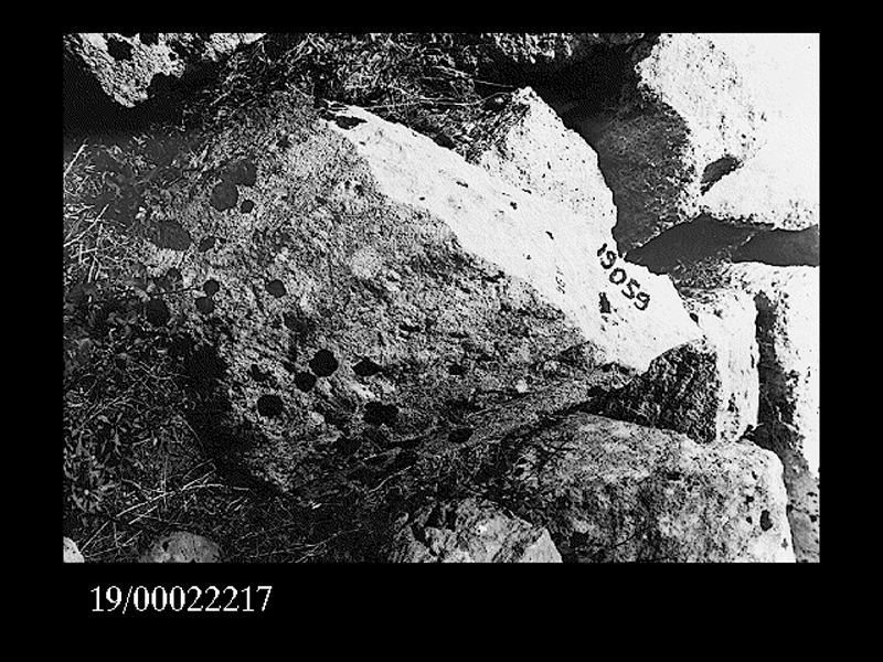 fusto di colonna (non determinabile)