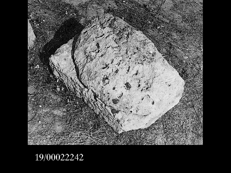 capitello dorico (non determinabile)