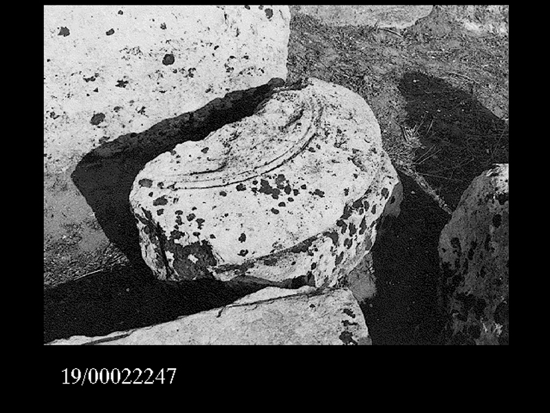 capitello dorico (non determinabile)