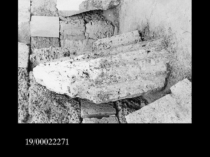 rocchio di colonna (non determinabile)