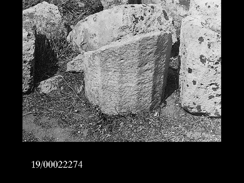 rocchio di colonna (non determinabile)