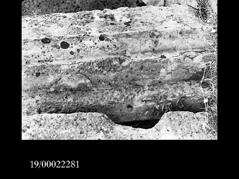 blocco di base (non determinabile)