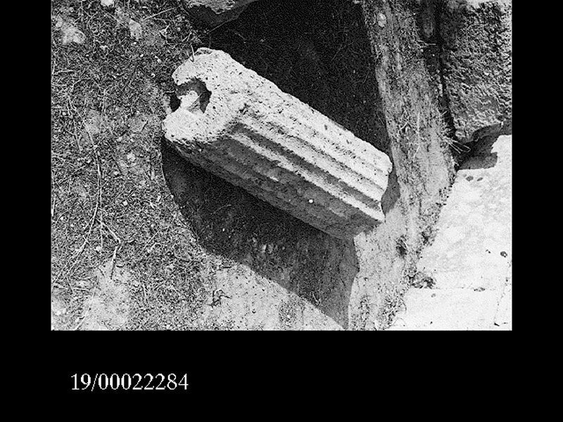 rocchio di colonna (non determinabile)