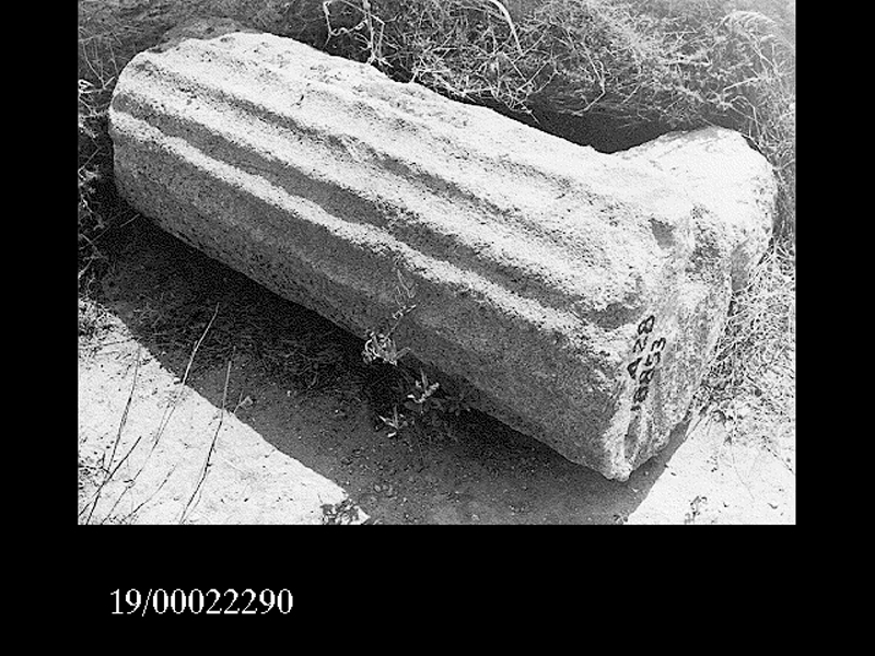 rocchio di colonna (non determinabile)