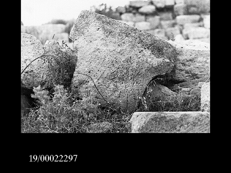 capitello (non determinabile)