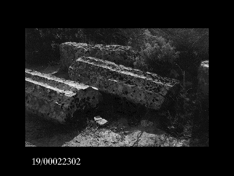 rocchio di colonna (non determinabile)