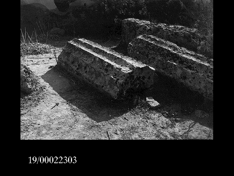 rocchio di colonna (non determinabile)