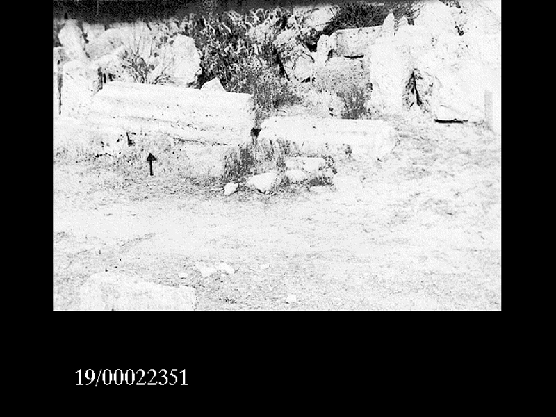 rocchio di colonna (non determinabile)