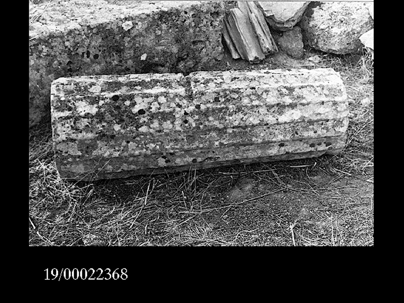 rocchio di colonna (non determinabile)