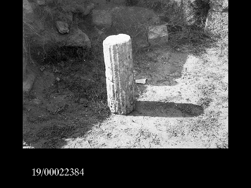 rocchio di colonna (non determinabile)