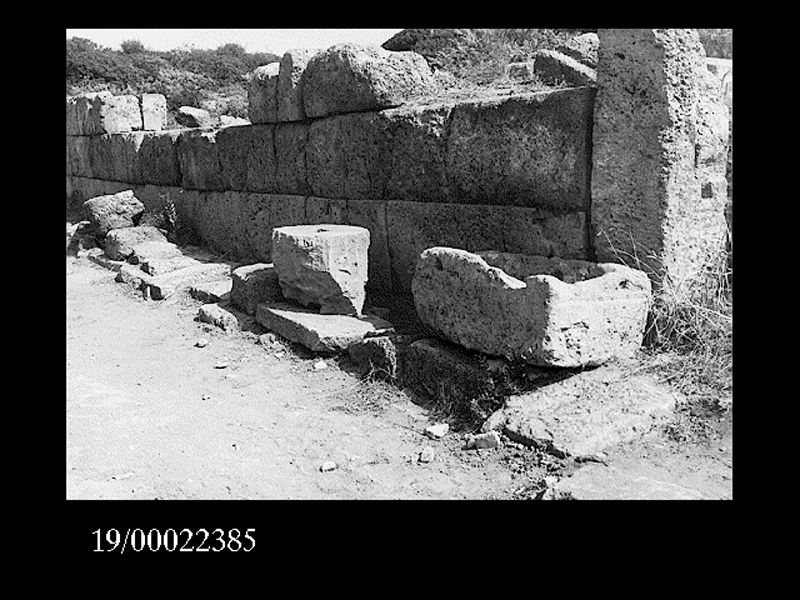 rocchio di colonna (non determinabile)