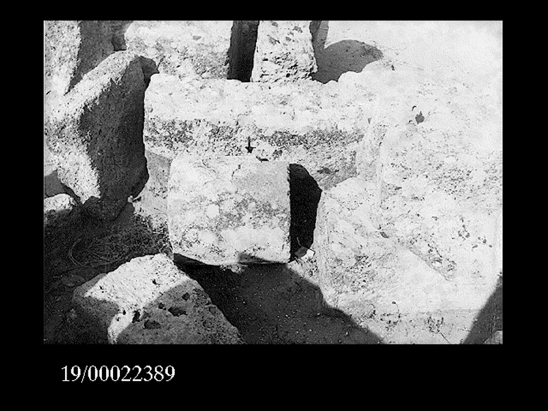 rocchio di colonna (non determinabile)