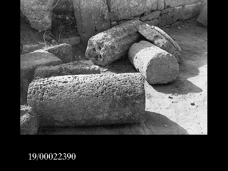 rocchio di colonna (non determinabile)