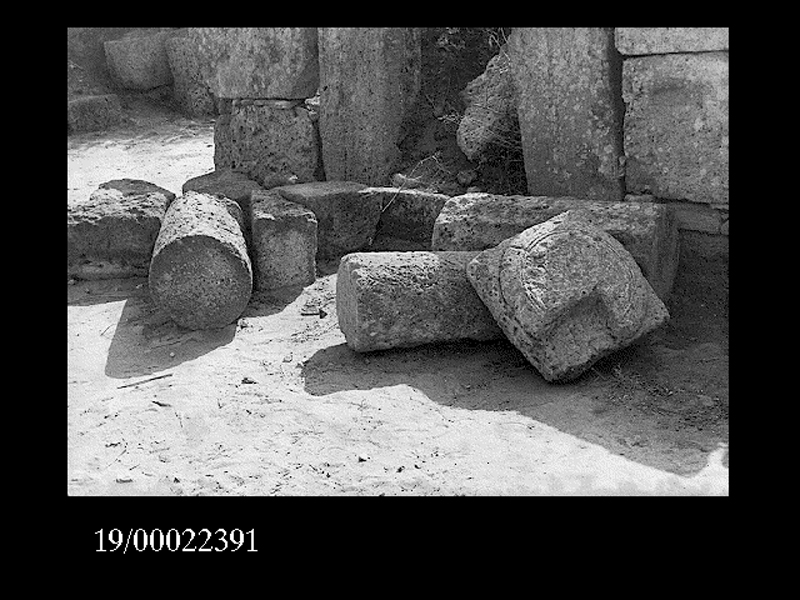 rocchio di colonna (non determinabile)