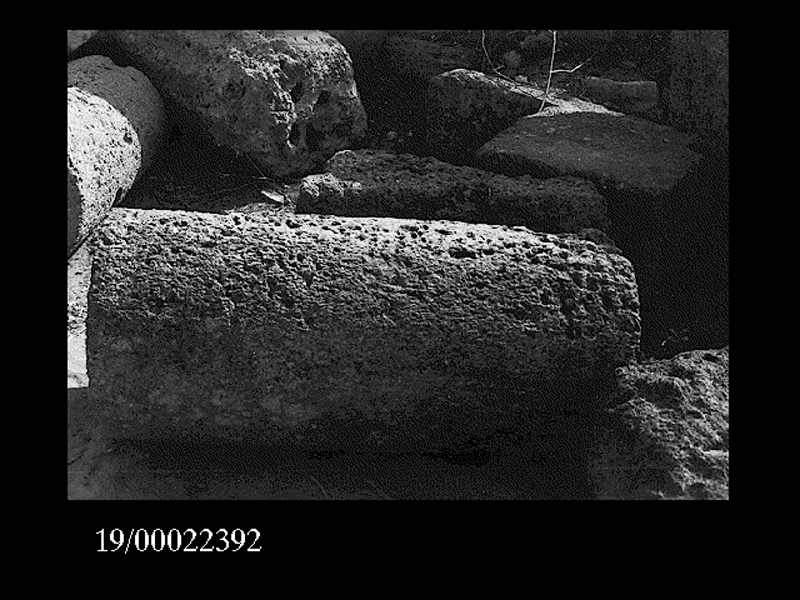 rocchio di colonna (non determinabile)