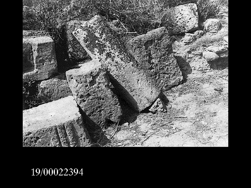 rocchio di colonna (non determinabile)