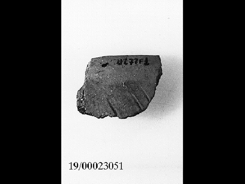 ciotolone/ orlo - facies di Stentinello (SECOLI/ IV millennio a.C)