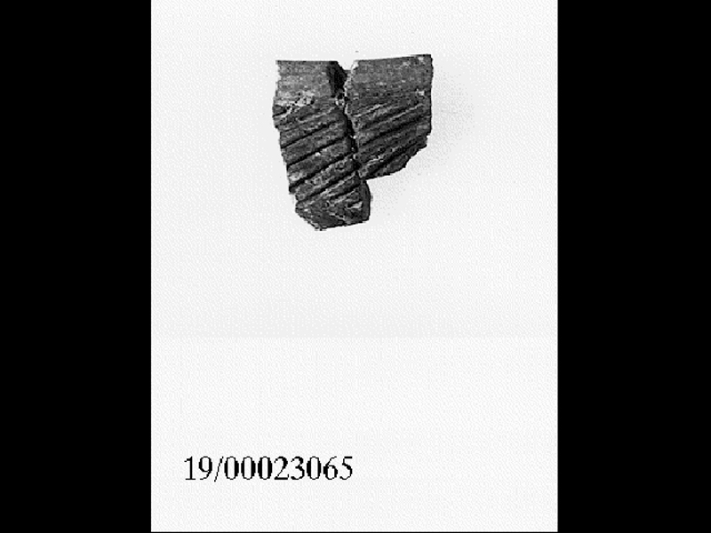 orlo - facies di Stentinello (SECOLI/ IV millennio a.C)