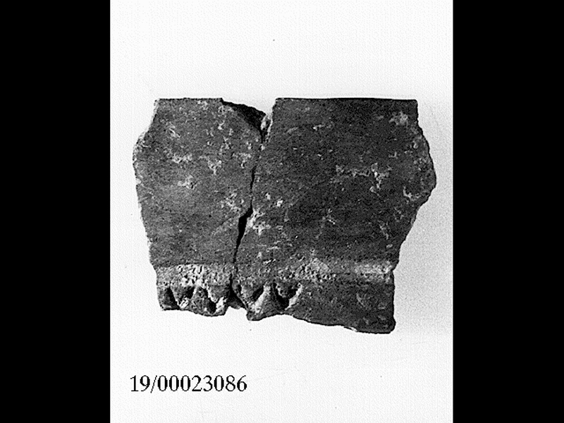 ciotola/ orlo - facies culturale di Stentinello (SECOLI/ IV millennio a.C)