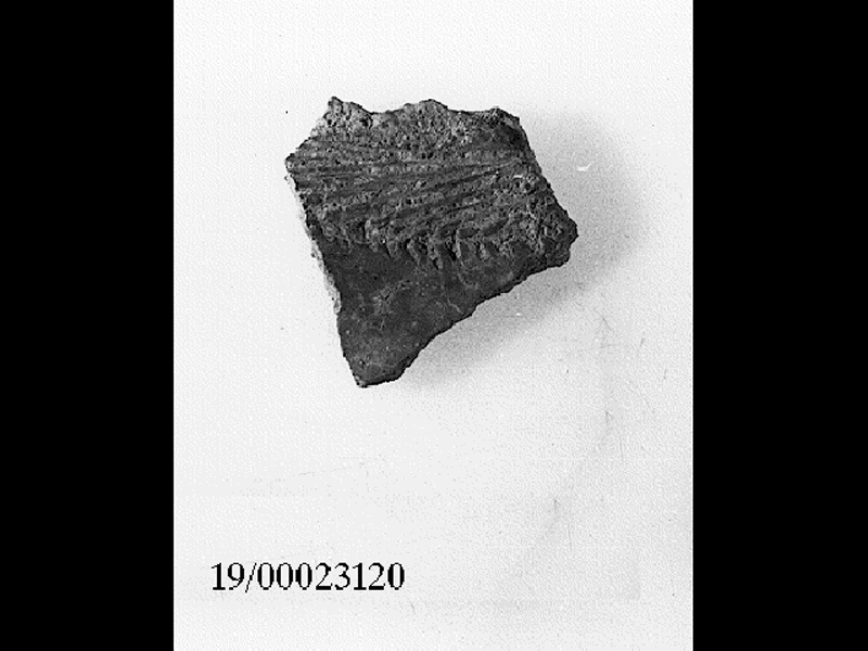 parete - facies culturale di Stentinello (SECOLI/ IV millennio a.C)