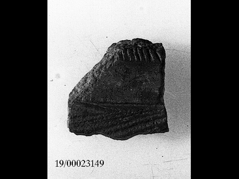 parete - facies culturale di Stentinello (SECOLI/ IV millennio a.C)