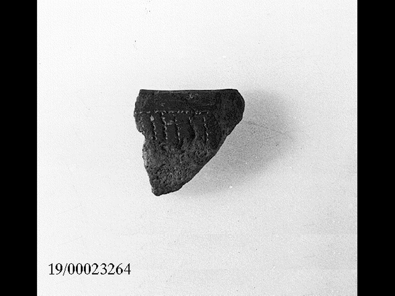 orlo - facies di Stentinello (SECOLI/ IV millennio a.C)