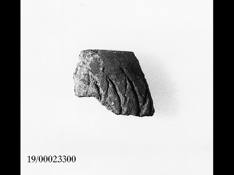 ciotola/ orlo - facies culturale di Stentinello (SECOLI/ IV millennio a.C)