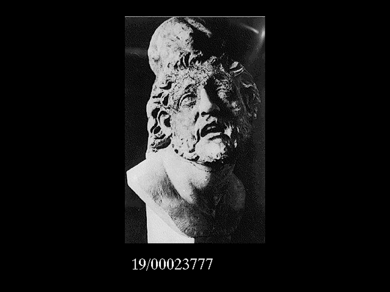 Mitologia greco-romana/ ciclo troiano Odissea/ compagno di Odisseo (gruppo statuario/ testa) (SECOLI/ I a.C)