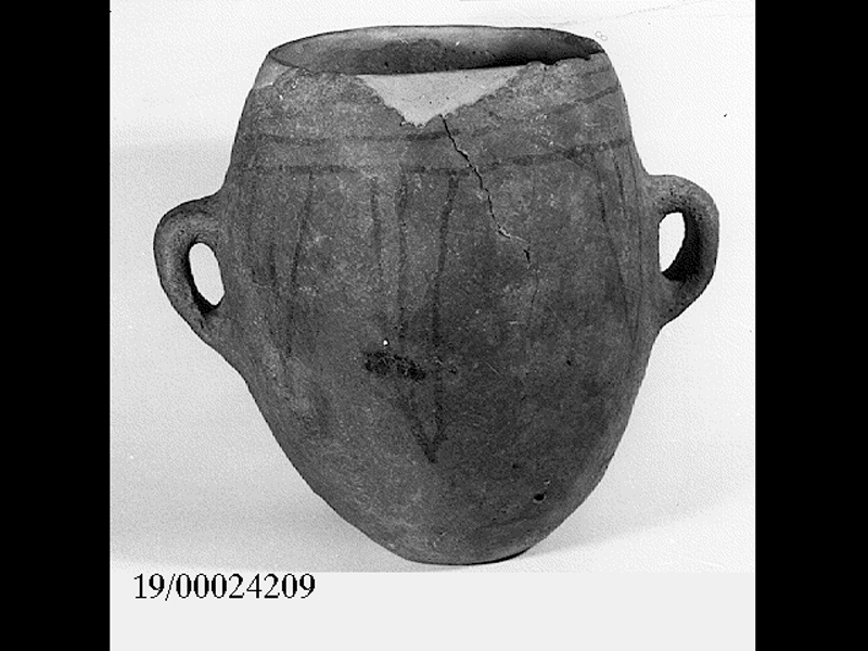 dolio - cultura di Castelluccio (SECOLI/ XVII a.C)