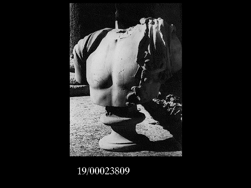 Mitologia greco-romana/ Satiro (busto) (SECOLI/ IV a.C)