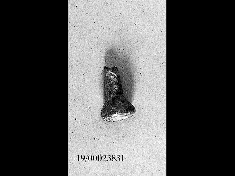 unguentario (SECOLI/ II d.C)