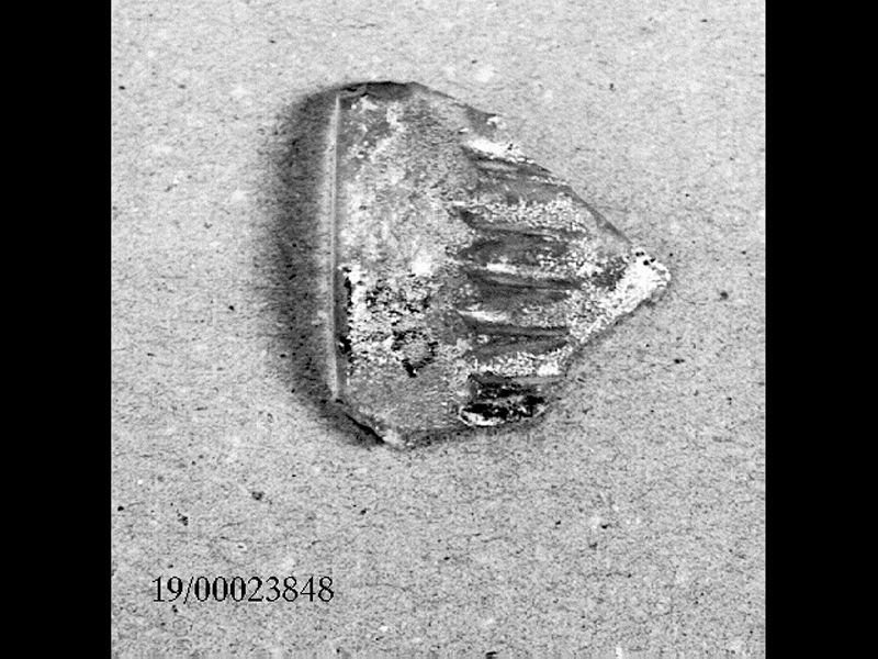 coppa (SECOLI/ II d.C)