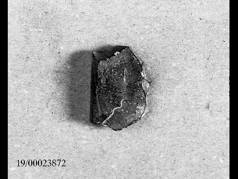 coppa/ orlo (SECOLI/ II d.C)