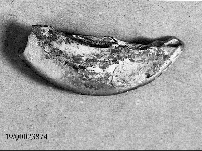 coperchio/ frammento (SECOLI/ II d.C)