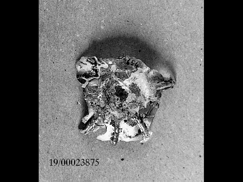 coppetta/ fondo (SECOLI/ II d.C)