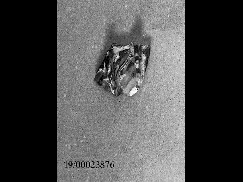 coppa/ parete (SECOLI/ II d.C)