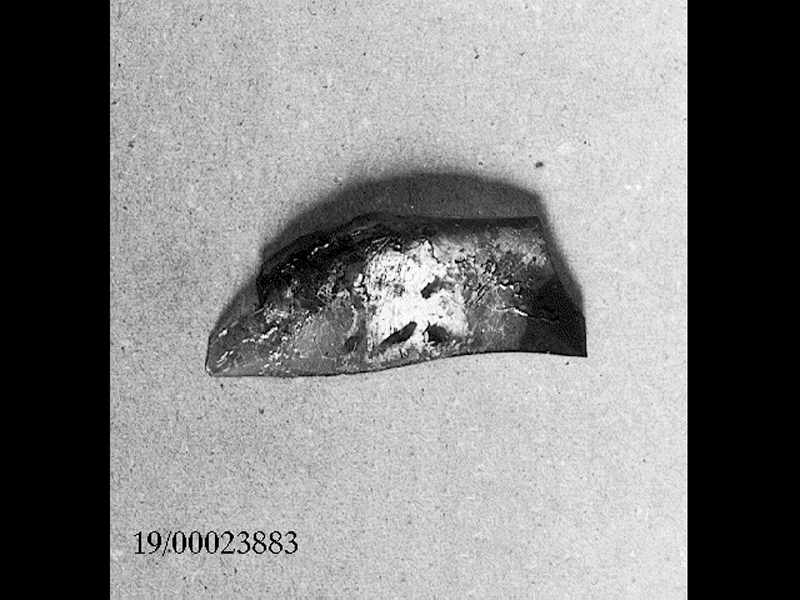 tazza/ parete/ coppa/ parete (SECOLI/ II d.C)