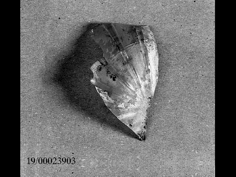 coppa (SECOLI/ II d.C)