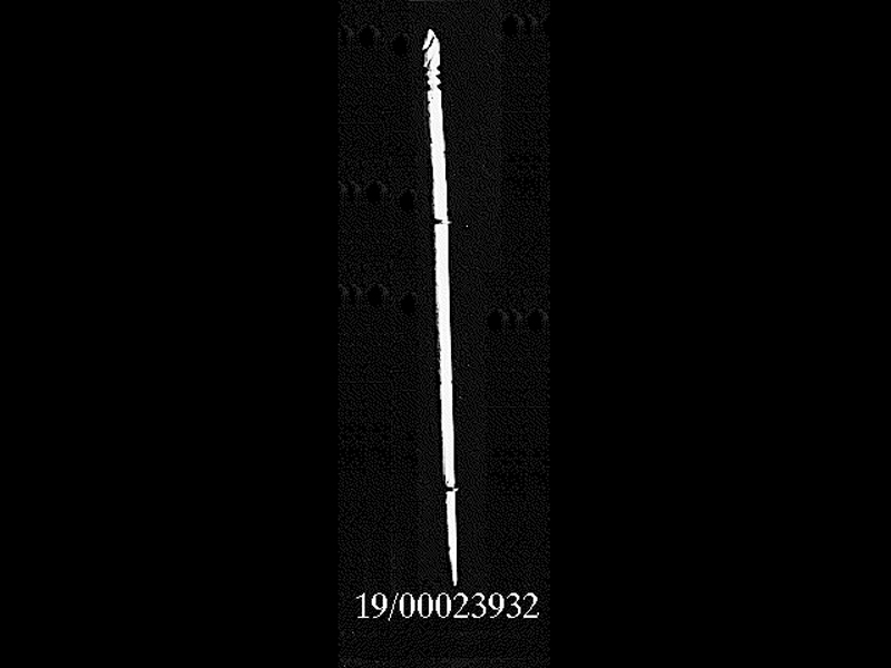 ago crinale (SECOLI/ età ellenistico-romana)