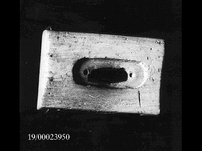 placchetta (SECOLI/ età ellenistico-romana)