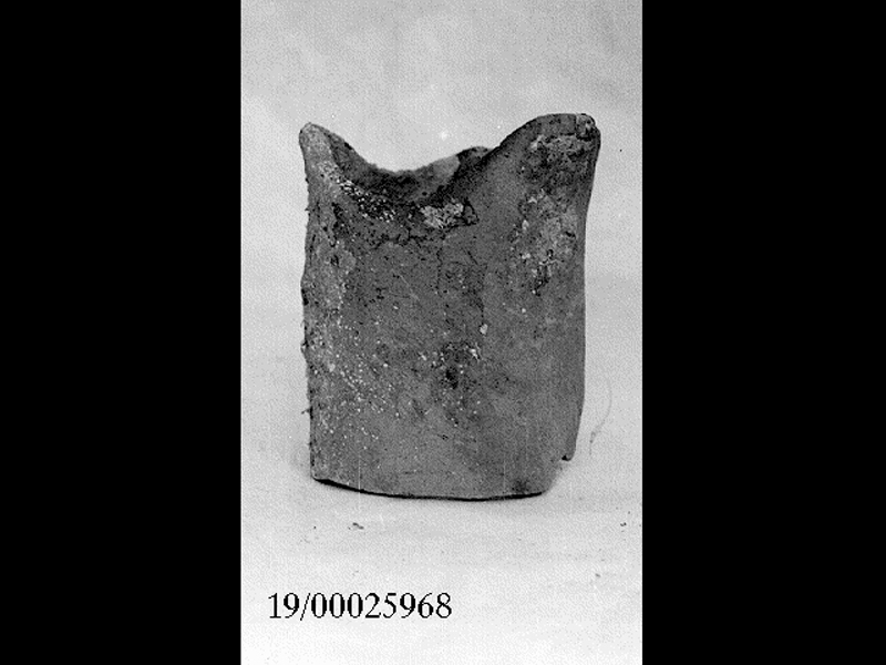 anfora/ collo (non determinabile)