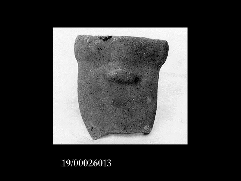 anfora/ collo (non determinabile)